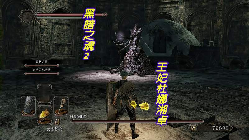 《黑暗之魂2最终BOSS战》多兰古雷格的王妃杜娜湘卓,游戏,RPG游戏,好看视频