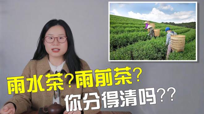 [图]「小喜年」必看！雨水茶？雨前茶？买茶叶的时候要注意的那些问题