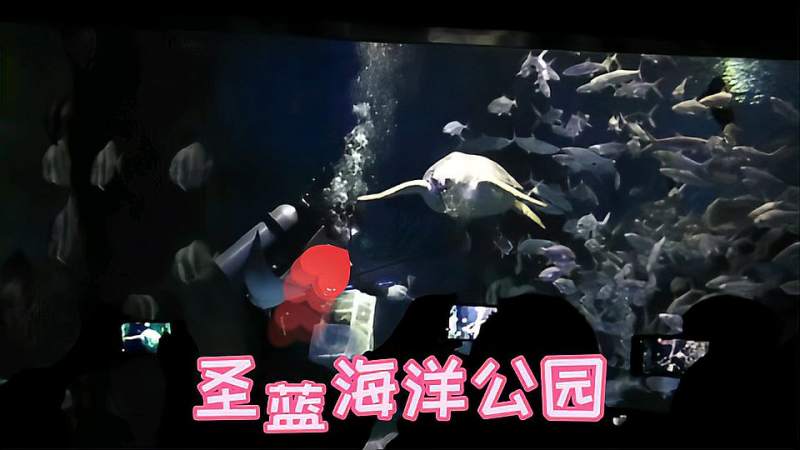 秦皇岛圣蓝海洋公园