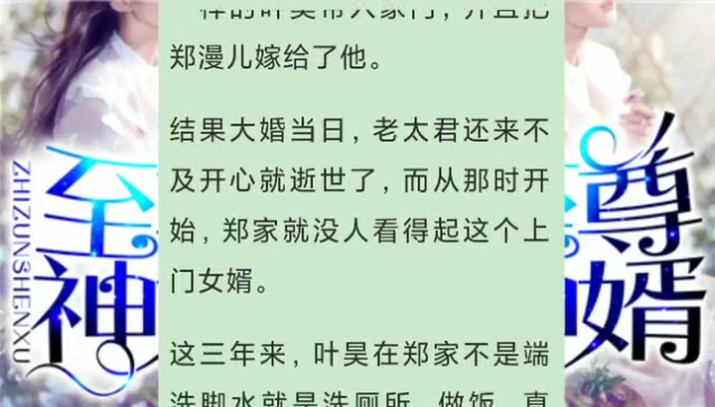 至尊神婿叶昊郑漫儿小说视频推荐