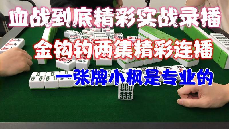 四川麻将金钩钓两集精彩连播一张牌小枫是专业的