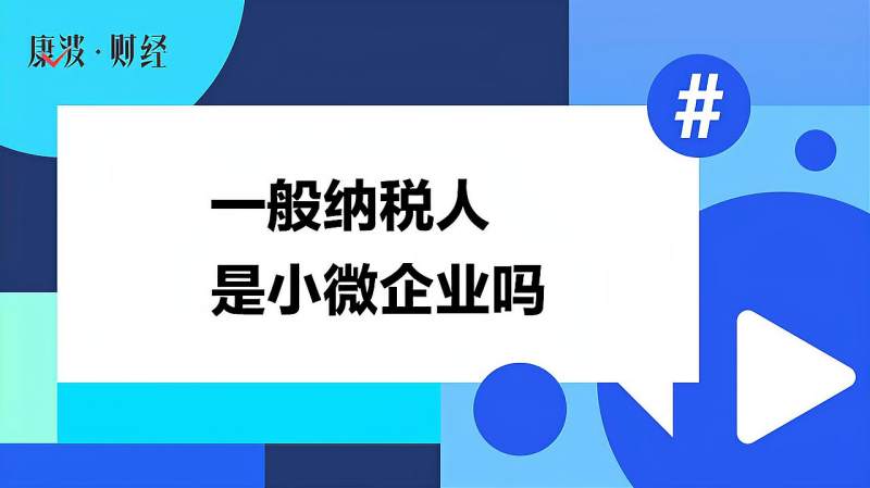 一般纳税人是小微企业吗