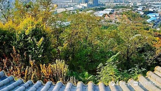 秋日的青島象耳山公園,風景如畫一步一景