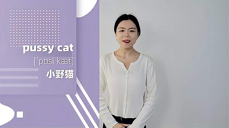 pussy cat词组的意思