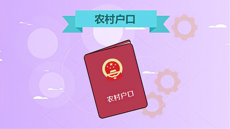 农村居民户口:与“城镇居民户口”相对应的户口类型