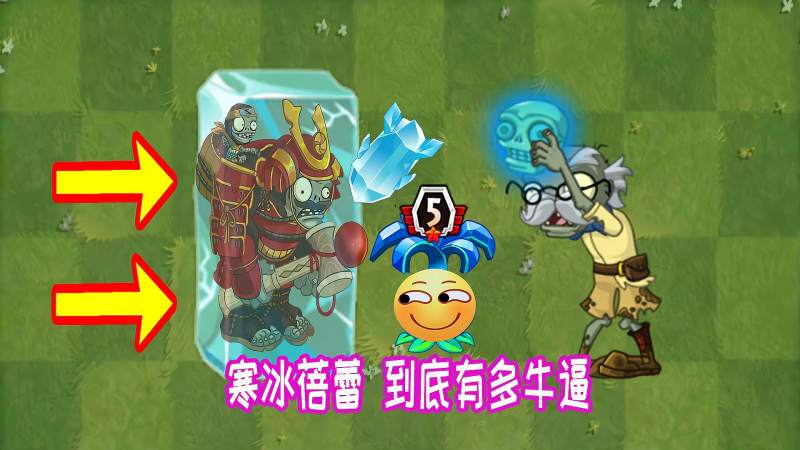 植物大战僵尸寒冰蓓蕾到底怎么玩冰封后的僵尸属于哪一队