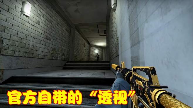 [图]CSGO：外挂令人心烦，玩家掌握两个技巧，立马拥有官方“透视”