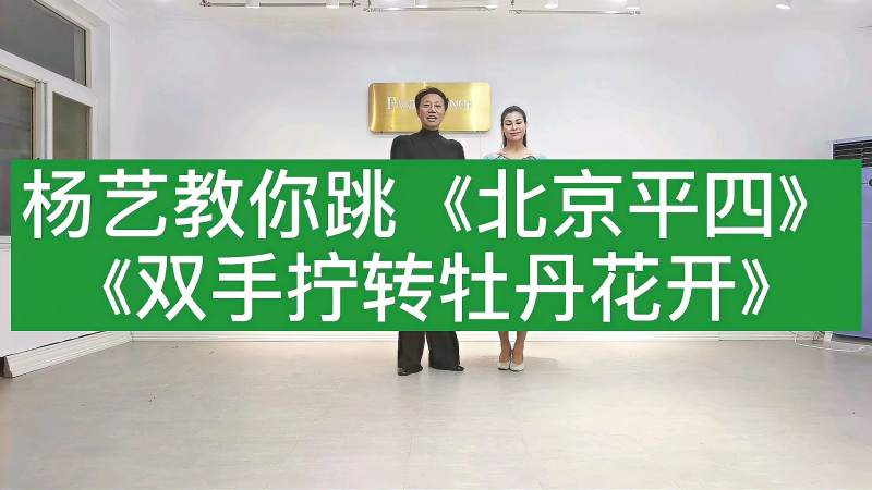 北京平四杨艺(北京平四杨艺教学)