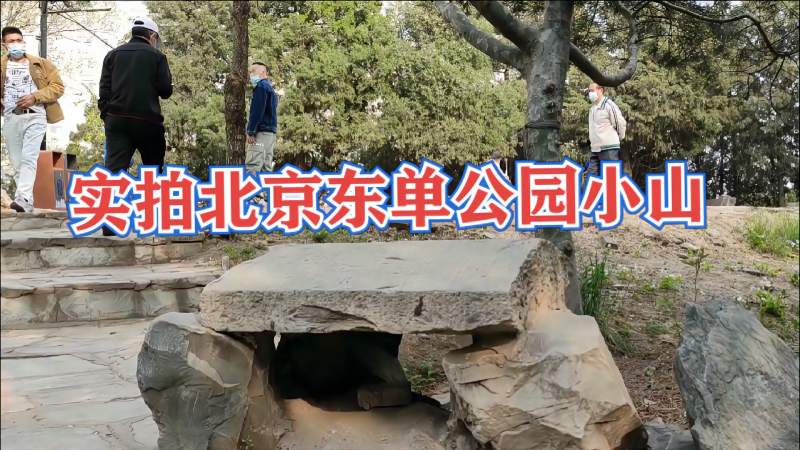 北京东单公园小山上的男人真多我再也不去了