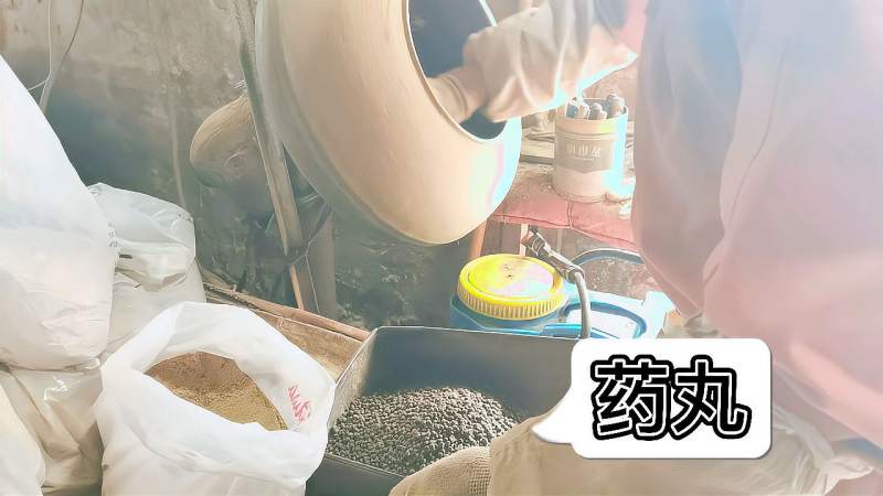 生活中常见的中药丸剂是怎样制成的，操作简单,健康养生,健康常识,好看视频