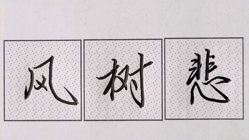行楷高效练字方法|风、树、悲、书写技法特别实用:学会高效书写,文化,艺术,好看视频