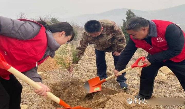 共建绿色家园,泰安化马湾乡动员31个村开展义务植树活动