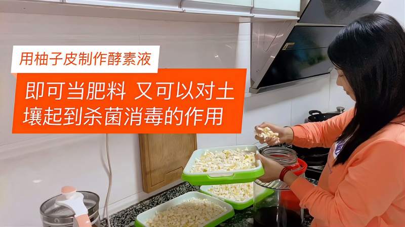 将柚子皮做成酵素液用处多种菜时可当肥料又可给土壤杀菌消毒 生活 生活技巧 好看视频 将柚子皮做成酵素液用处多种菜时可当肥料又可给土壤杀菌消毒 生活 生活技巧 好看视频