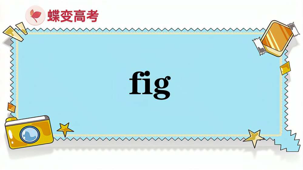 Fig音标 百度