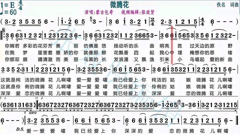 蒙古包哥演唱微腾花的光标跟随动态有声简谱