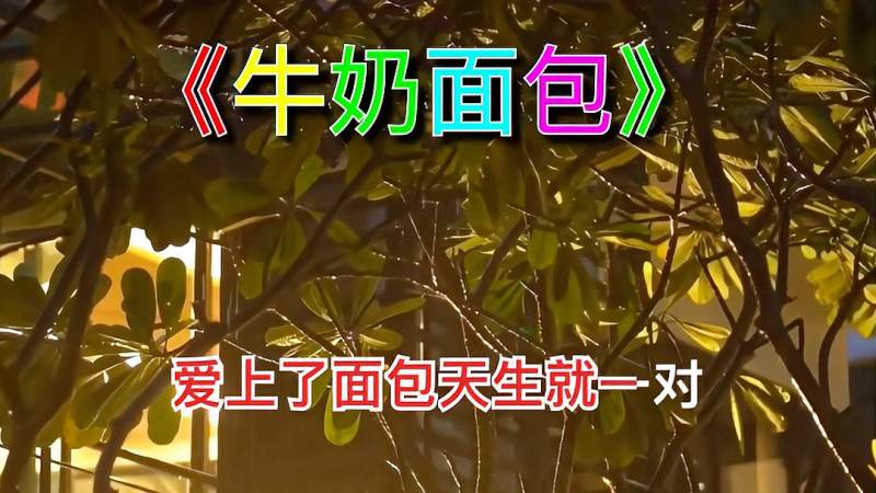 甜甜的歌曲牛奶面包