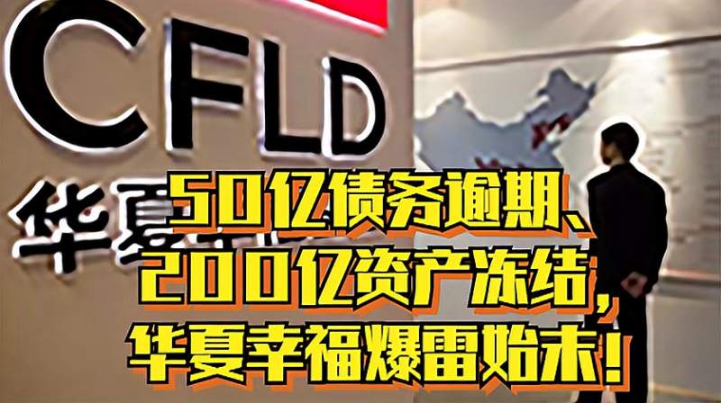 50亿债务逾期、200亿资产冻结,华夏幸福爆雷始末!,财经,房地产,好看视频