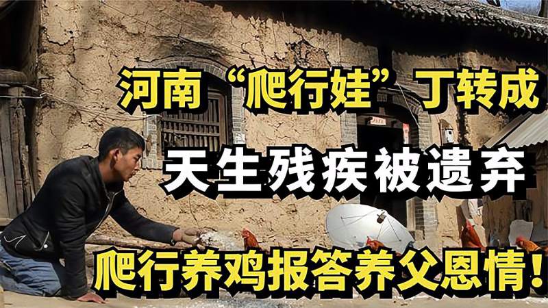 河南爬行娃丁转成天生残疾被遗弃爬行养鸡报答养父恩情