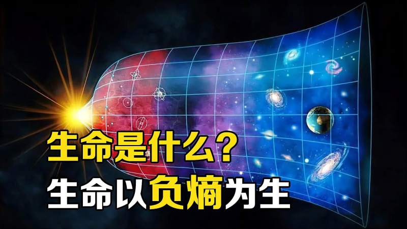 “熵”是什么?用概率思维理解“熵增定律”,宇宙万物终将死亡!,科学,科普,好看视频
