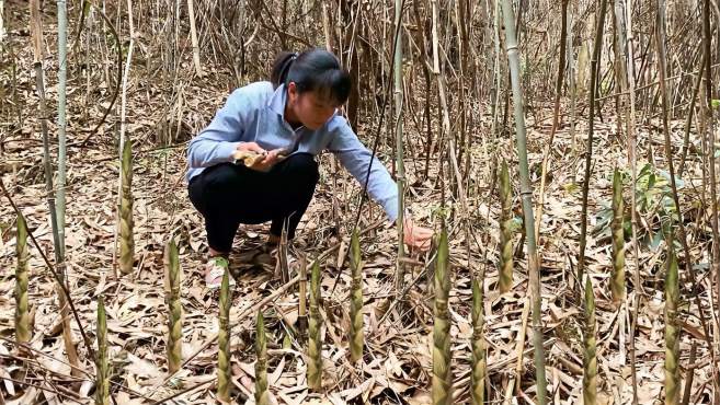 [图]这个季节山上的小竹笋疯长，村民靠卖笋一天收入800元，真羡慕