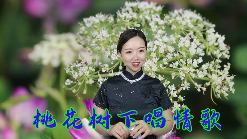 怀旧音乐一首桃花树下唱情歌节奏欢快动感歌词浪漫甜美