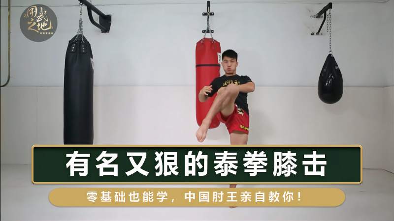 有名又狠的泰拳膝击零基础也能学中国肘王亲自教你