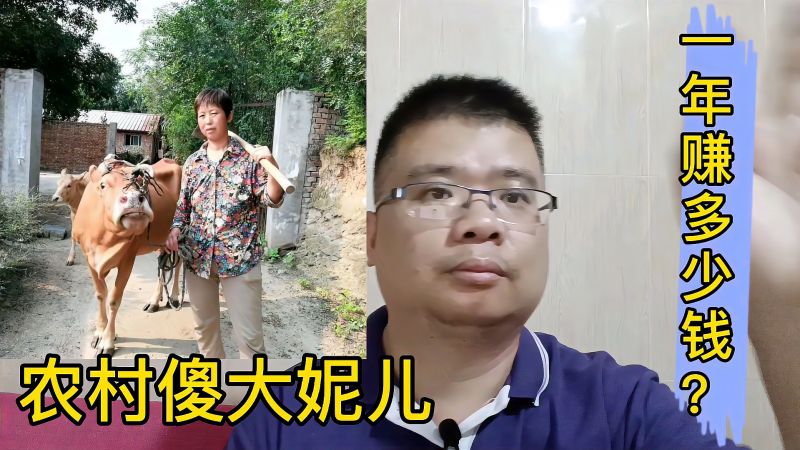 农村傻大妮儿做自媒体一年赚多少钱