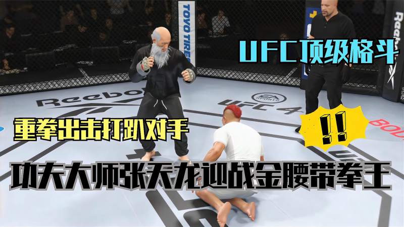 ufc格斗游戏功夫大师张天龙vs金腰带得主罗纳德