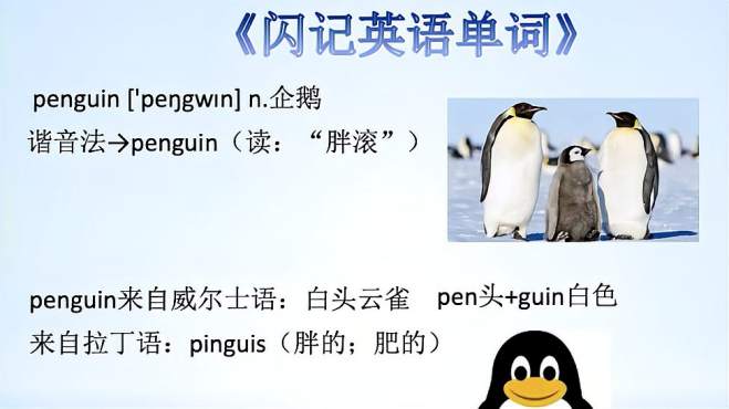 [图]《闪记中考1600词》—penguin 企鹅