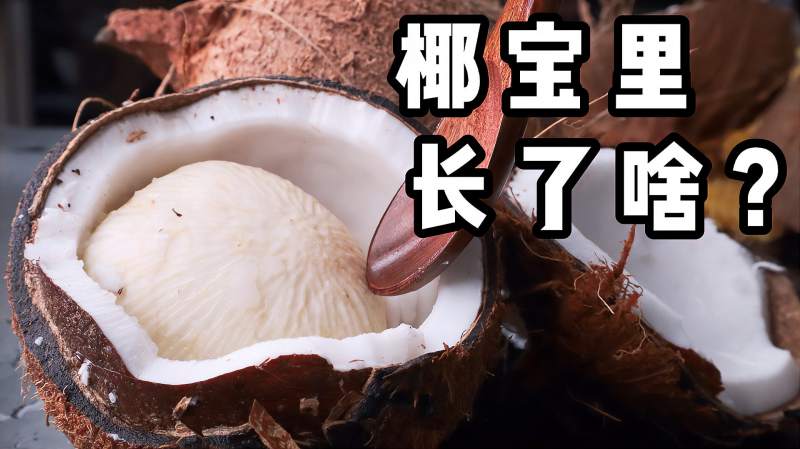 第一次吃“椰宝”,竟然是这种口感,和想象的完全不一样!,美食,美食节目,好看视频