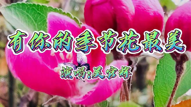 [图]歌曲《有你的季节花最美》赏析，歌声清扬，委婉动听，歌词入心。