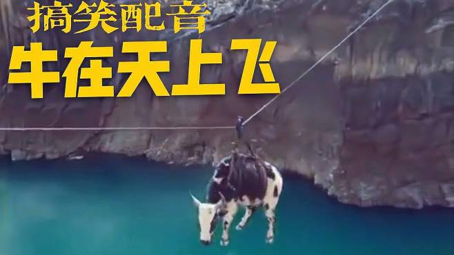 搞笑配音:难怪那些人喜欢吹牛,吹牛真的可以把牛吹上天
