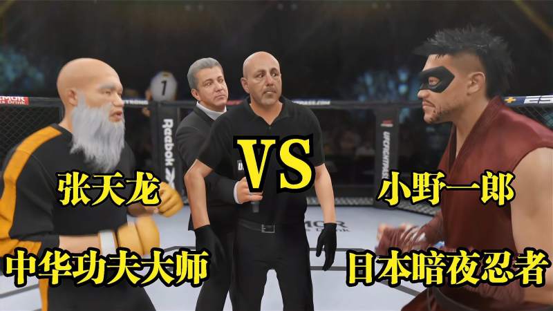 ufc格斗游戏功夫大师张天龙vs日本暗夜忍者小野