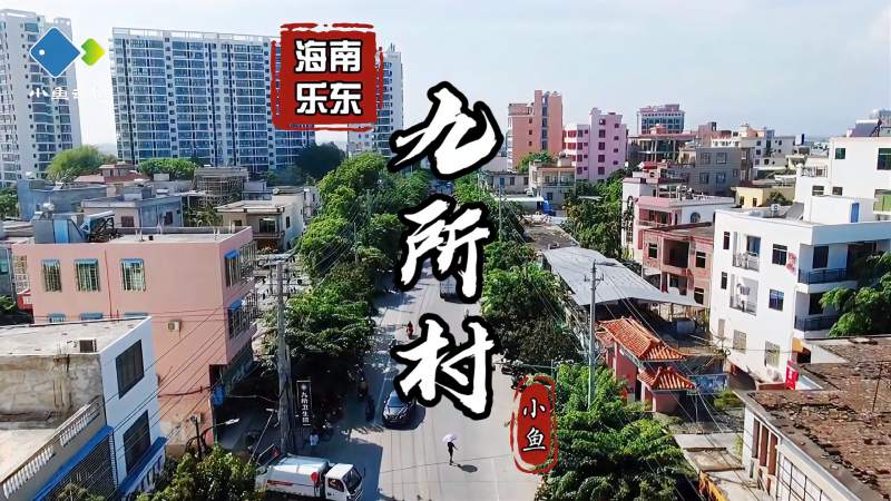 海南乐东九所镇九所村