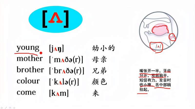 英语口语音标/ʌ/怎么发音，注意这一点，就很容易掌握,教育,在线教育,好看视频