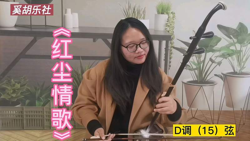二胡独奏红尘情歌经典老歌回味无穷