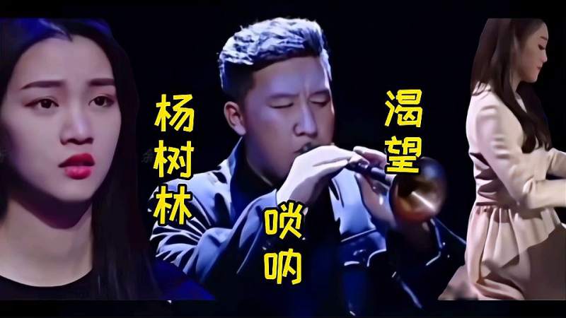 杨树林唢呐玖月奇迹双排键合奏经典歌曲渴望小女孩感动的要哭