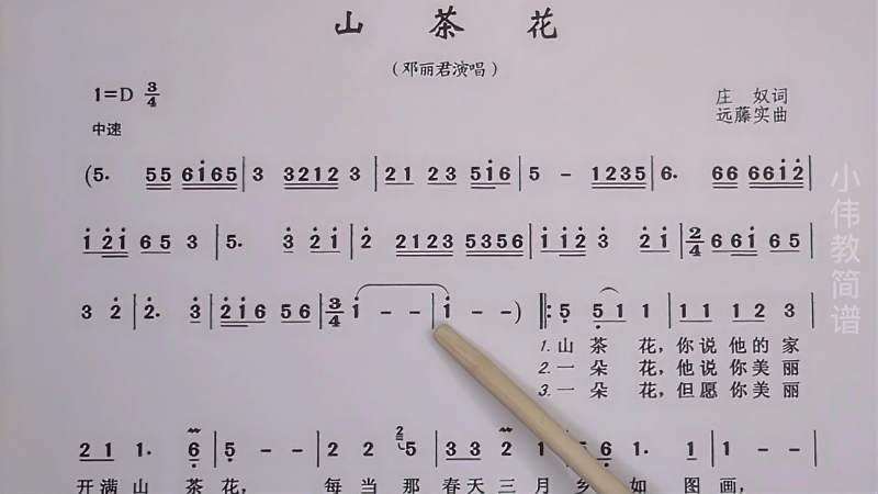 邓丽君经典歌曲《山茶花》唱谱学习,老师每天带你学简谱