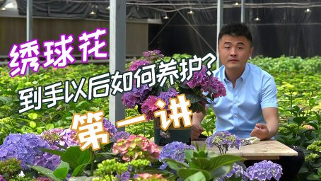 养花选土很重要 了解有机土和无机土的区别 施肥事半功倍 家居 园艺 好看视频