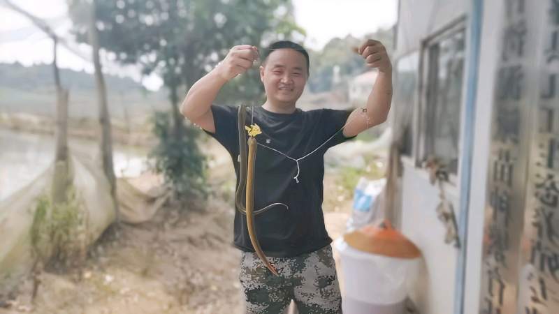 湖南大叔巡塘发现黄鳝洞看老胡懒人办法钓黄鳝效果不错