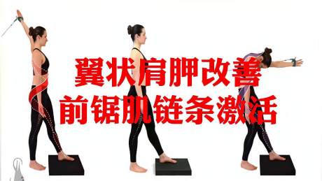 翼状肩胛改善动作