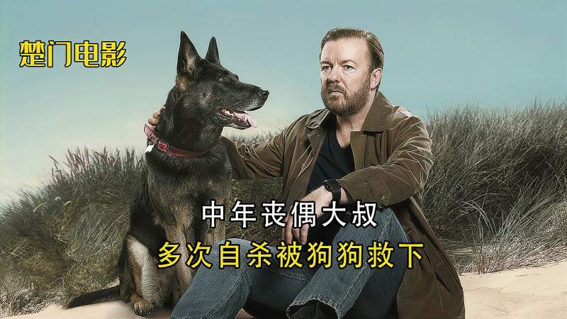男人妻子去世一心寻死去被狗狗无数次阻拦高分英剧《后半生》,影视,伦理片,好看视频