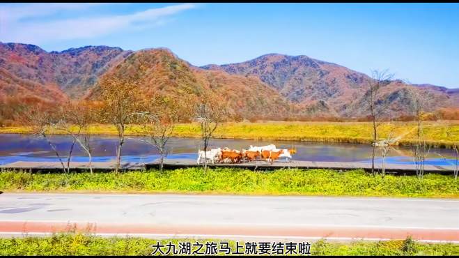 [图]实拍云间湿地大九湖风光，很多人都梦想去这里，是否值得一去？