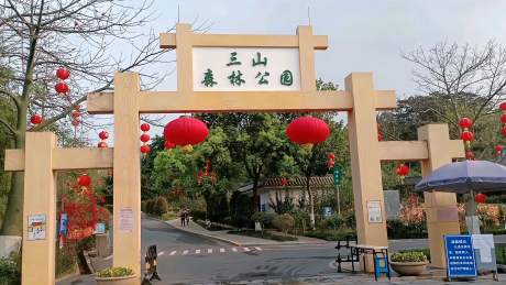 广东佛山南海平洲三山森林公园,有兴趣的市民到这个公园爬山赏花