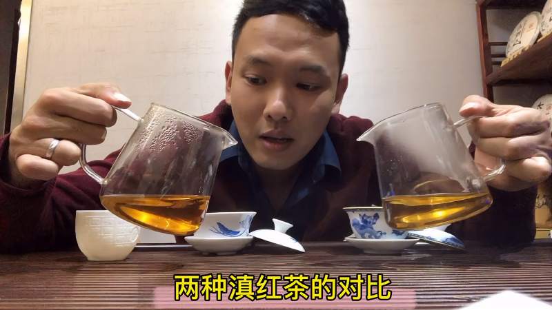 滇红茶经典58与金针有什么不同?老板测评2种茶,实拍冲泡过程