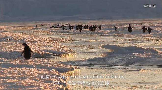 [图]国家地理经典纪录片：小探险家（知识科普+口语）15