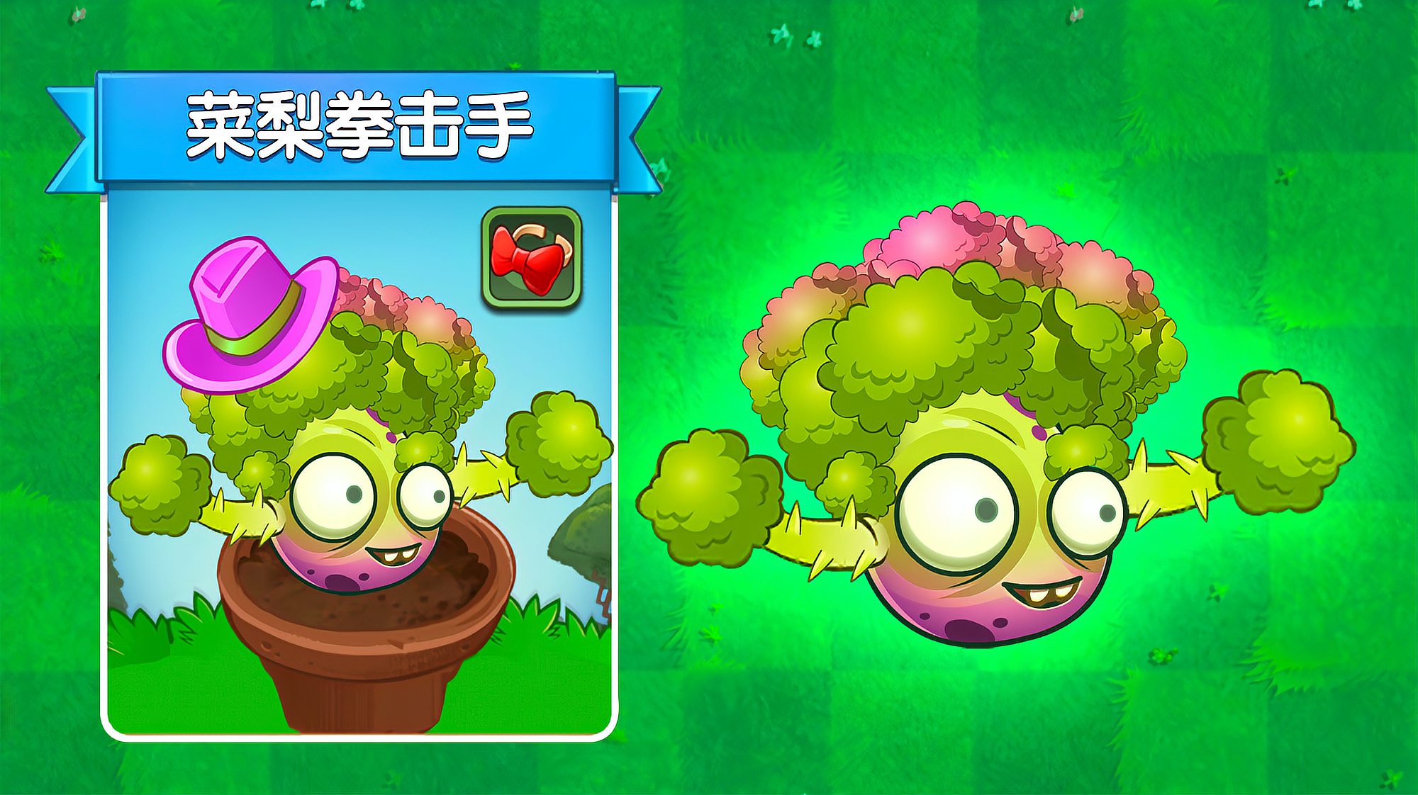 新植物：菜梨拳击手！