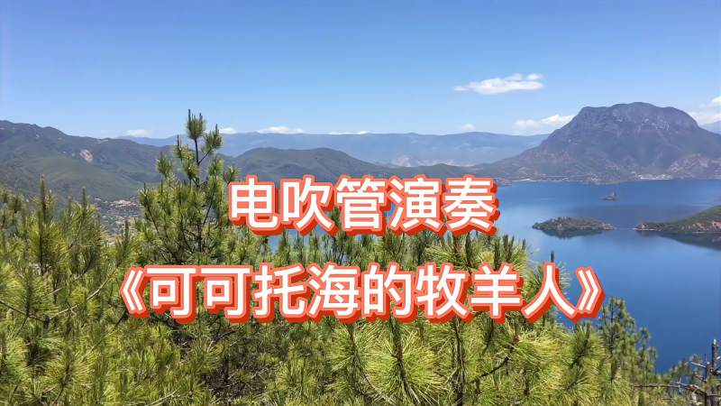 电吹管演奏《可可托海的牧羊人,音乐,器乐,好看视频