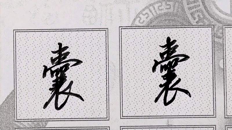 常用字“囊”字书写规律｜笔画连笔灵活书写、结构紧凑是重点！,文化,艺术,好看视频
