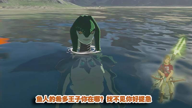 铁憨憨的塞尔达传说15期,希多王子你在哪?,游戏,RPG游戏,好看视频